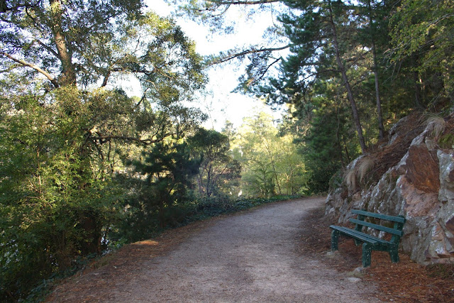 Peace Mile Trail, Lake Daylesford