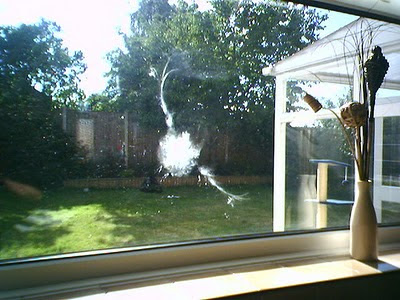 Glass spells danger for birds, birds crash, birds crash glass