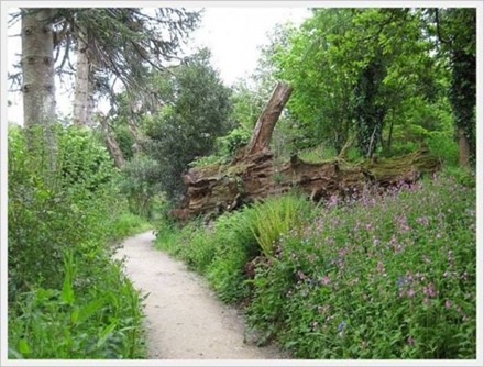 lost_gardens_uk_04