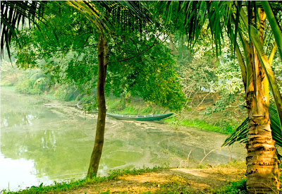 Boats tied in a Serene Lake