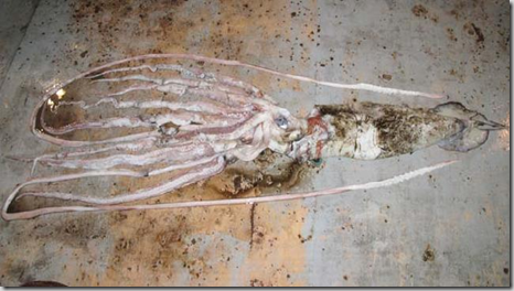 - LiveScience.com_1253660089552