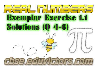 CBSE Class 10 - Maths - Real Numbers (NCERT Exemplar Solutions Ex 1.1 Q4-6) (#cbsenotes)(#eduvictors)