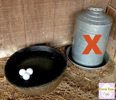 Five Easy Ways to Keep your Chickens' Water from Freezing ...