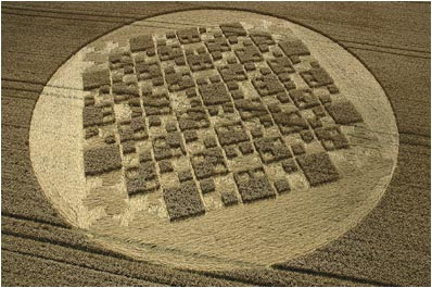 Amazing Crop Circle