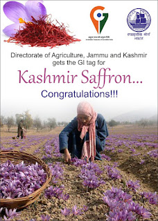 Saffron of kashmir has received the geographical indication (GI) tag