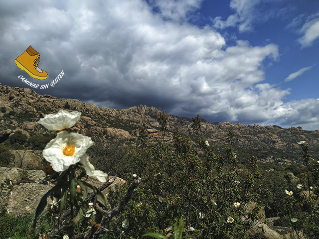 NUBES, JARAS Y ROCAS DE LA PEDRIZA