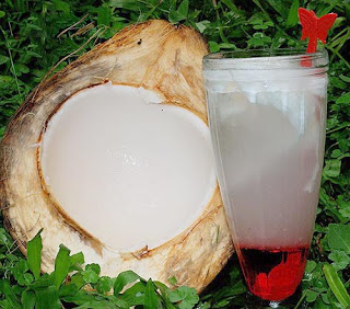 coconut H2O ice