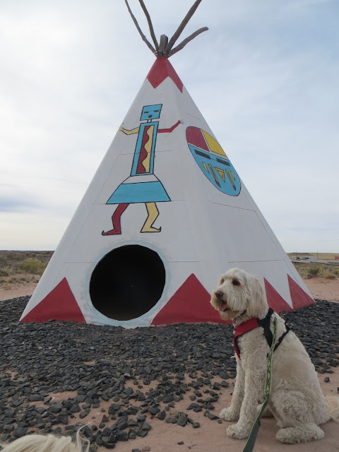 painted desert indian center