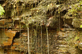 Henrhyd falls and Nant Valley walk to Abercraf