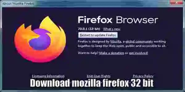 Download Mozilla Firefox 32 bit and run it: