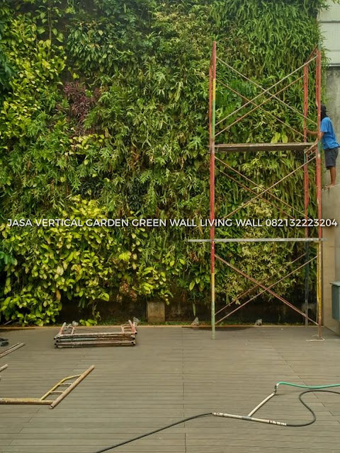 JASA PEMBUATAN VERTICAL GARDEN BOGOR, JASA VERTICAL GARDEN BOGOR, JASA TUKANG TAMAN VERTICAL BOGOR, JASA PEMBUATAN DINDING HIDUP BOGOR, JASA PEMBUATAN DINDING HIJAU BOGOR, roof garden murah, roof garden design, roof garden minimalis, roof garden sederhana, roof garden detail, roof garden medan, roof garden BOGOR, drainasecell roof garden, versicel roof garden, roof garden indonesia, roof garden BOGOR, roof garden system, roof garden, roof garden adalah, drainasecell, versicell, alat roof garden, cara membuat roof garden, peralatan roof garden, roof top, top roof garden, taman dak atas, cara membuat taman dak, taman atap roof garden, taman roof garden, roof garden apartment, tukang taman vertikal, vertikal garden murah, vertikal garden sederhana, taman vertikal dari botol bekas, taman vertikal murah, taman vertikal rumah minimalis, taman vertikal adalah, taman vertikal dalam rumah, taman vertikal, taman vertikal minimalis, taman vertikal anggrek, taman vertikal botol, taman vertikal di bandung, taman vertikal menggunakan botol bekas, taman vertikal dari batu bata, biaya taman vertikal, buat taman vertikal, contoh taman vertikal, cara taman vertikal, contoh taman vertikal garden, taman vertikal di rumah, taman vertikal di lahan sempit, taman vertikal di dinding, taman vertikal dinding, taman vertikal dengan paralon, taman vertikal depok, fungsi taman vertikal, foto taman vertikal, taman vertikal garden, taman gantung vertikal, gambar taman vertikal minimalis, cara membuat taman vertikal garden, gambar taman vertikal, griya taman vertikal, desain taman vertikal garden, taman vertikal hidroponik, taman vertikal harga, harga taman vertikal murah, taman vertikal indonesia, taman vertikal indoor taman vertikal italia, ide taman vertikal, vertical gardens, vertical gardening, wall garden, green wall, vertical gardening systems, wall planter, indoor vertical planter, planter, wall planters, green walls, greenwall, garden walls, plant wall, wall planters indoor, wall planters for outdoors, vertical blinds, vertical line, vertical farming, vertical integration, vertical angles, vertical radiators, vertical meaning, define vertical,