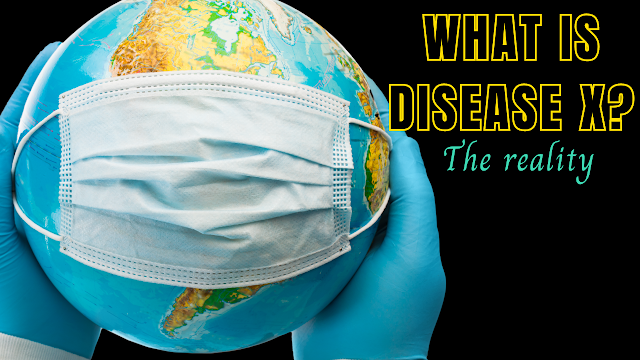 What is Disease X? The Reality
