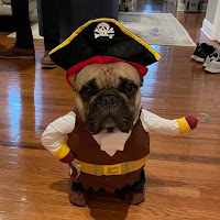 Perros Disfrazados para Halloween