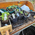 Sowing Seeds And Potting On