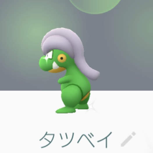 Testset Blogolb 4月14日 タツベイ 色違い