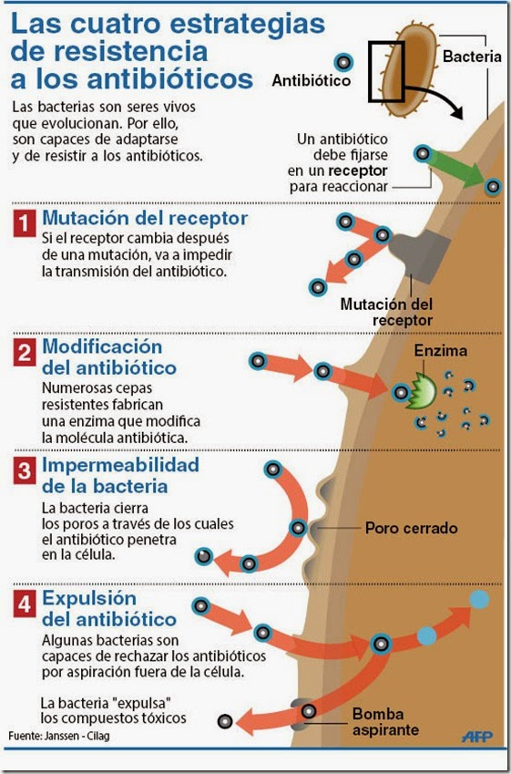 Infografías de salud