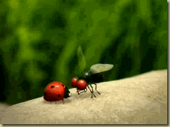 minuscule89656