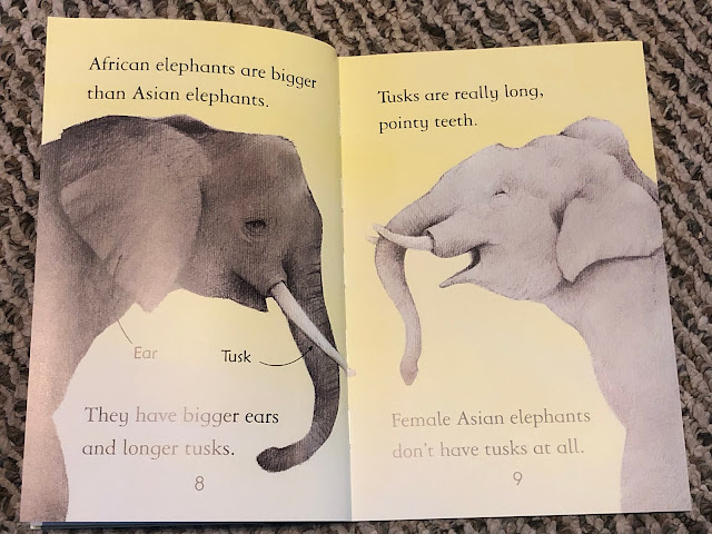 Elephants