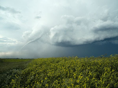 Tornada in imagini