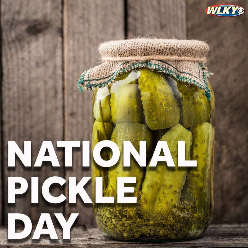 National Pickle Day Wishes for Instagram
