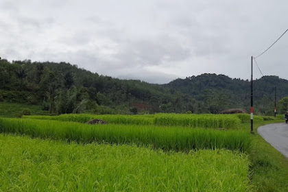 Gununghalu, Menyimpan Keindahan Alam yang Istimewa