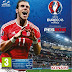 UEFA Euro 2016 Video Game Free Download Full Version For Pc