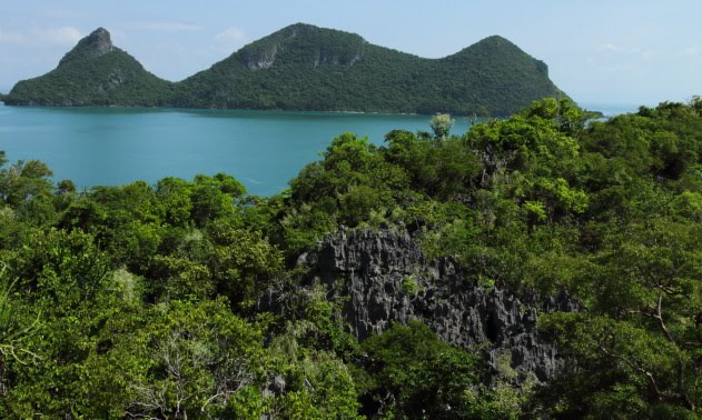 View from a typical Angthong limestone cliff hike