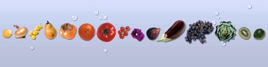 https://www.scribd.com/doc/291948425/Calendrier-des-fruits-et-legumes#fullscreen=1