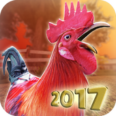 Download Game Balap Ayam Jago- Wild Rooster Run 1.6.0 for Android 2.3.4+ APK MOD Update, 