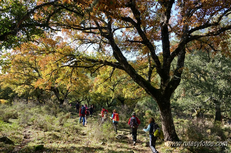 Montejaque - Grazalema por Campobuche