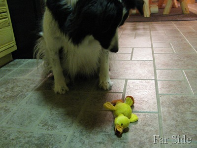 Chance and His duck