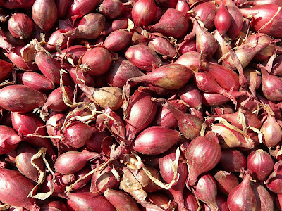 Tips dan Cara Menghilangkan Ketombe Dengan Bawang Merah