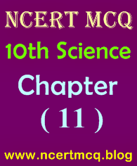 Science MCQ, Class 10th, Chapter-11, Electricity