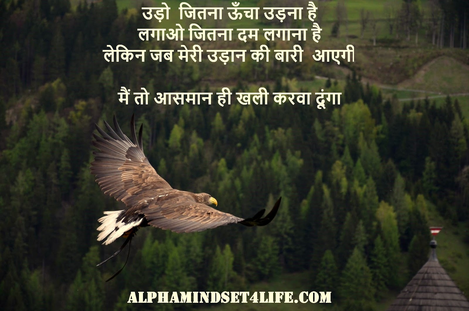 100 Top Upsc Ias Motivational Quotes In Hindi With Images Alphamindset4life