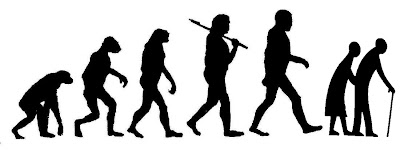 human evolution