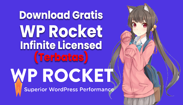 Download Gratis WP Rocket Infinite Licensed (Terbatas)