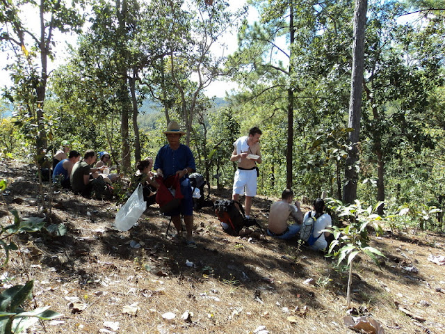 pha ngam trek, doi pha ngam trek, 2 days trek doi pha ngam, trekking to pha ngam, trekking doi pha ngam, hiking doi pha ngam, doi pha ngam,