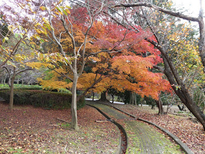 王仁公園・秋の紅葉