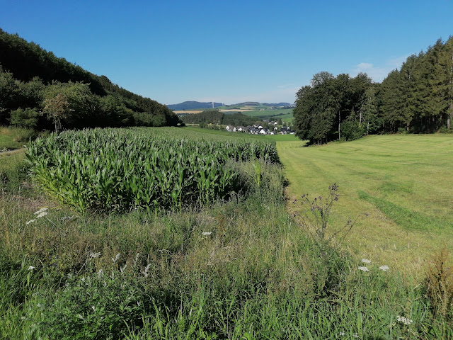 Sauerland wandern Wetter blog Meschede Rundweg