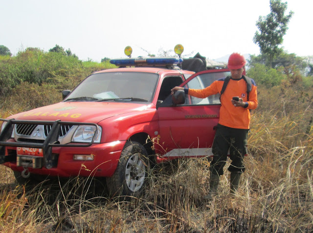 kebakaran hutan