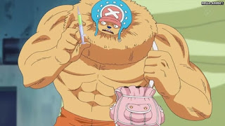 ワンピースアニメ パンクハザード編 606話 チョッパー ヘビーポイント | ONE PIECE Episode 606