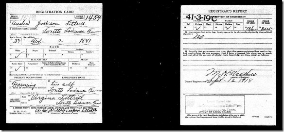 WWI draftcard (6)