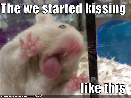 Funny Hamster Images 2011 | Funny Animals