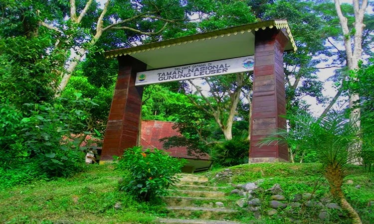 transportasi menuju taman nasional gunung leuser