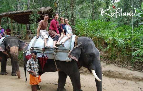 Border Hiking in Thekkady