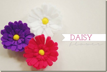 daisy-flower-1