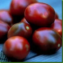 TO Black Plum