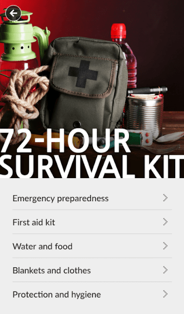Disaster survival kit guide