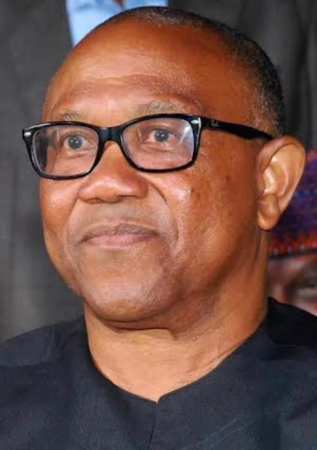 Tinubu's Media Team Accused of Twisting Peter Obi's Statements