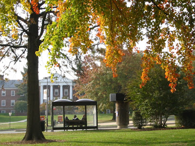 Bus Stop